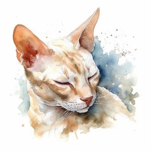 Devon Rex Clipart - 10 High Quality Watercolor Jpg's - Digital Download ...