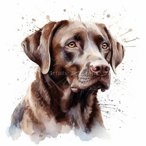 Chocolate Labrador Clipart - 10 High Quality Watercolor JPG's - Digital Download! Wall Art, Canvas Art, Painting, Card Making, Mugs, Etc image 2
