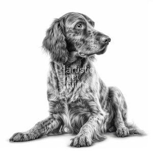 May include: A detailed black and white pencil drawing of a dog, likely an English Setter, in a seated position. The dog has long, wavy fur and is looking to the right. The text "artistic pet prints" is visible.