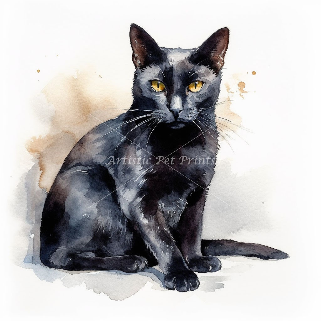 Bombay Cat Clipart - 10 High Quality Watercolor Jpg's - Digital ...