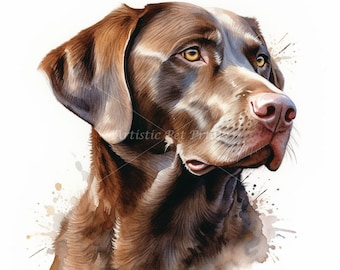 Chocolate Labrador Clipart - 10 High Quality Watercolor JPG's - Digital Download! Wall Art, Canvas Art, Painting, Card Making, Mugs, Etc