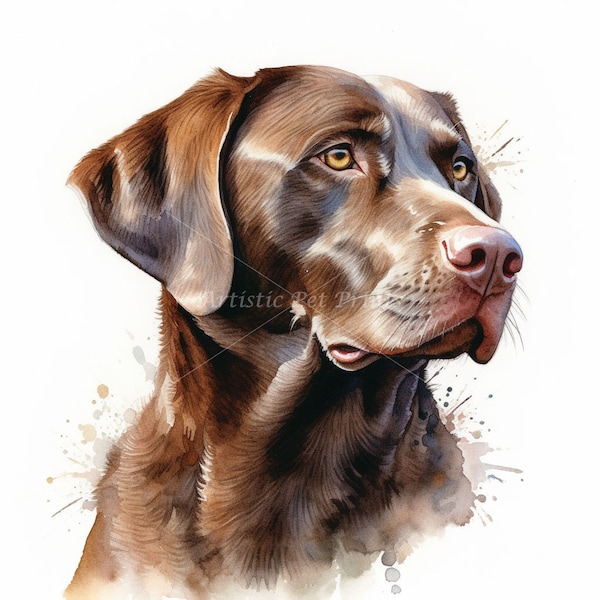 Chocolate Labrador Clipart - 10 High Quality Watercolor JPG's - Digital Download! Wall Art, Canvas Art, Painting, Card Making, Mugs, Etc