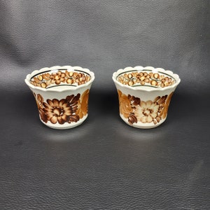 Può includere: Due vasi di fiori in ceramica bianca con motivi floreali marroni. I vasi hanno un bordo a festoni e sono decorati con motivi floreali marroni e verdi.