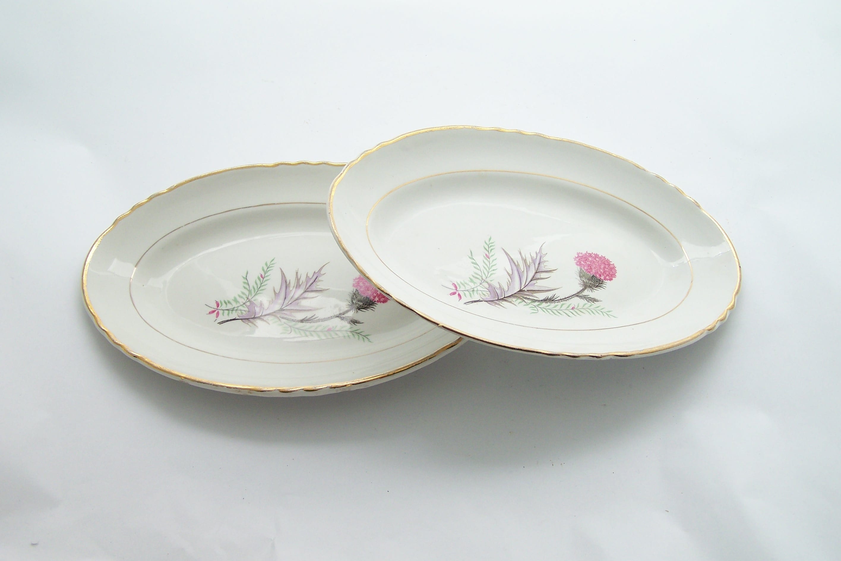Paire de Plats Service 2 Raviers Ovales Moulin Des Loups Décor Pavie Chardon Rose Liseré Or 1930 Vin