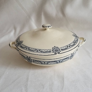 Piatto di verdure Terre de fer Terracotta di Salins decoro blu fondo bianco vintage Made in France