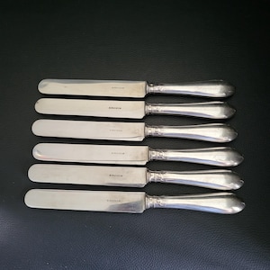 Ercuis cutlery set of 6 table knives  vintage Made in France