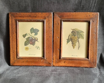 Pair of framed botanical prints illustrations grape and peach wooden frames ready to hang  vintage