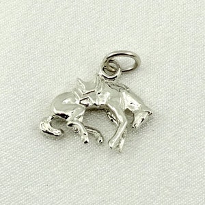 Rodeo caballo Vintage plata de ley encanto envío gratis!  #ROHO-CM24