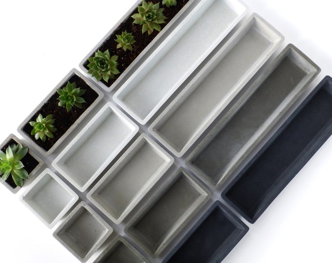 Concrete Succulent Planter Set - small, rectangular
