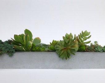Window Sill Concrete Planter