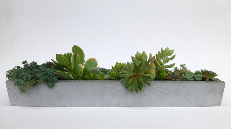 Window Sill Concrete Planter