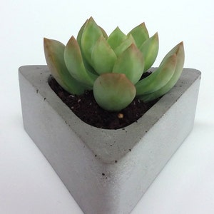 Triangular Concrete Succulent Planter image 2