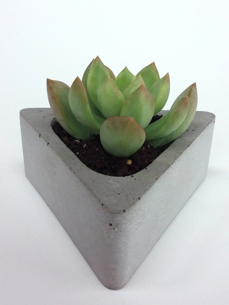 Triangular Concrete Succulent Planter image 2