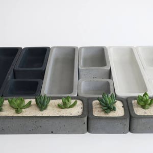 Concrete Succulent Planter Set - Medium, rectangular