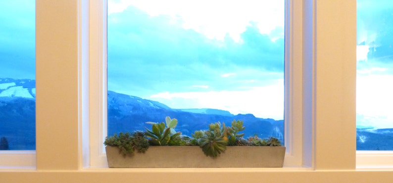 Window Sill Concrete Planter - Thumbnail 3
