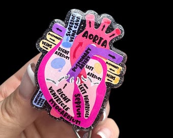Labeled Anatomical Heart Badge Reel, Gift for Cardiology Hospital Nurse, Cardiologist Badge Id Reel, Retractable ID Holder, Echo Tech Badge
