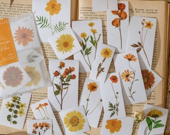 25 Pcs Yellow Dried Flowers Clear PVC Sticker, Sunflower Sticker Flakes, Waterproof, Bullet Journal Sticker, Blooming, Yellow Flower Petals