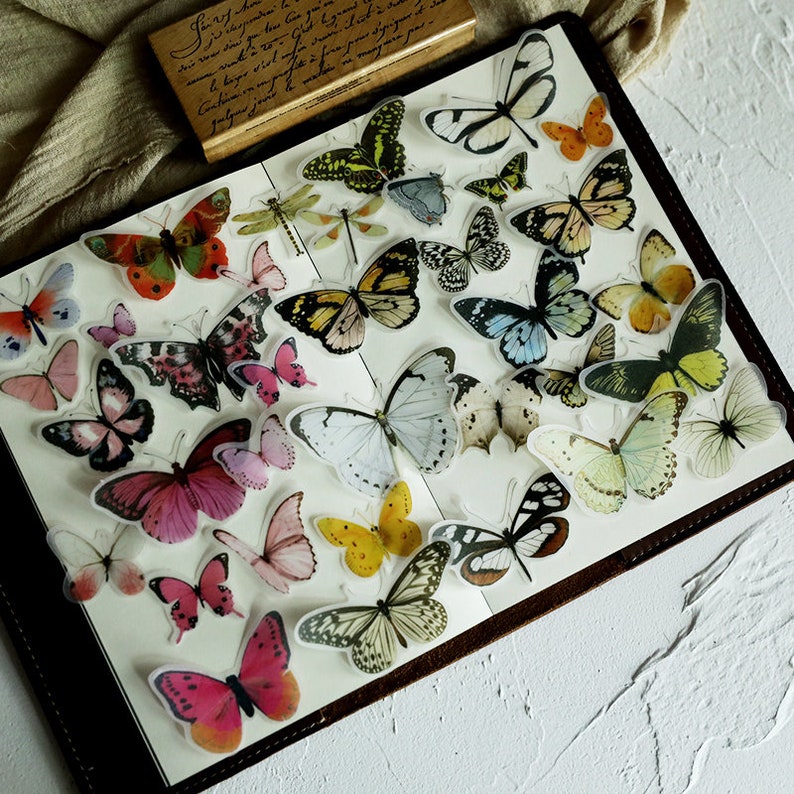 80 pcs Vintage Butterfly Vellum Stickers Pack Translucent Etsy