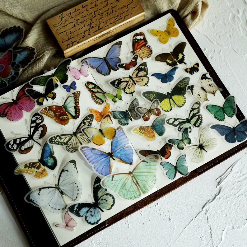 80 pcs Vintage Butterfly Vellum Stickers Pack Translucent Etsy