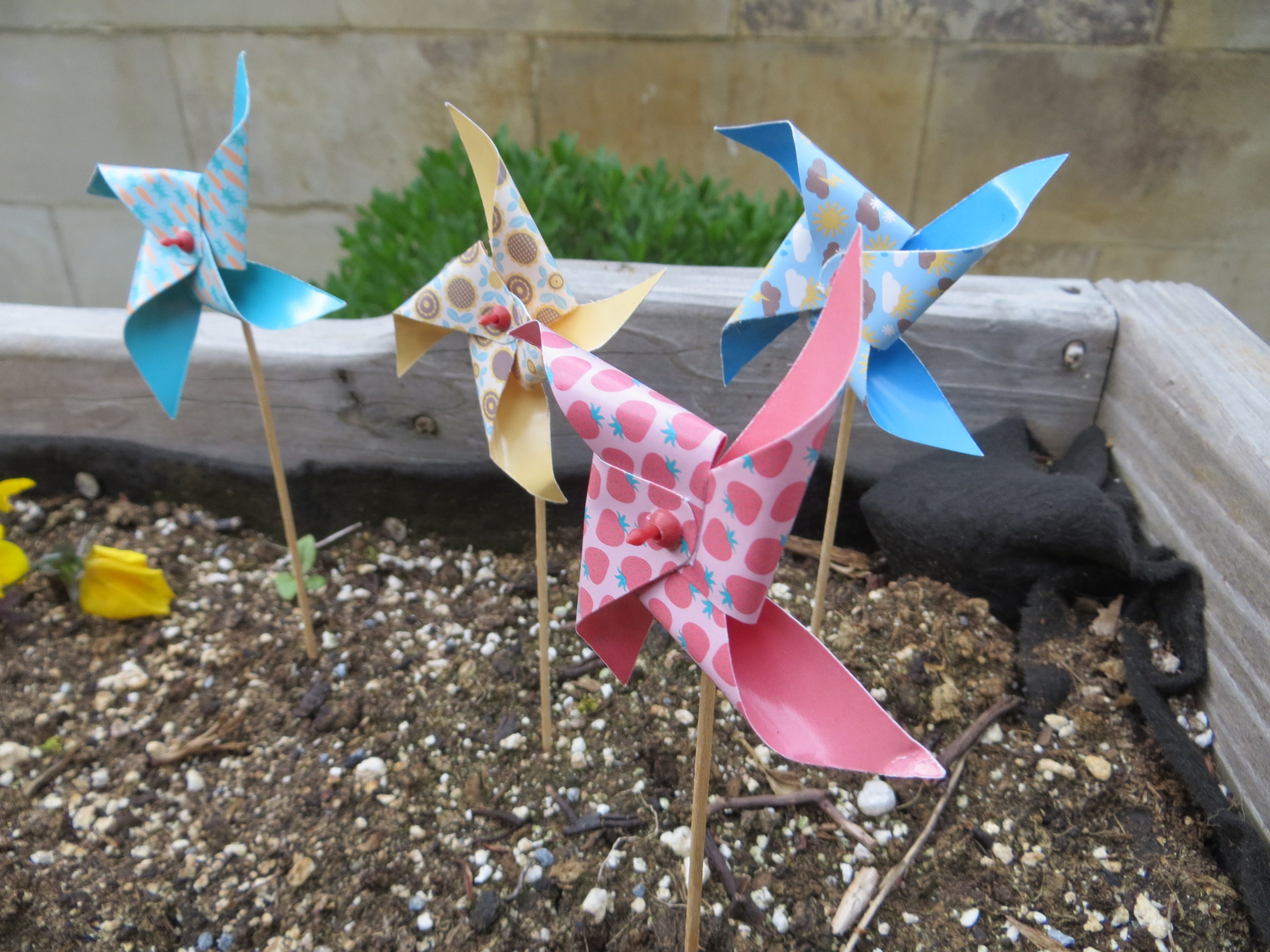 Pinwheel Window Display Mini Pinwheels, Wind Spinners for Window Box, Garden, Cake Decoration ...