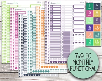 MNTH-115 || EC 7x9 Monthly Color Functional Stickers (Monthly or Weekly)