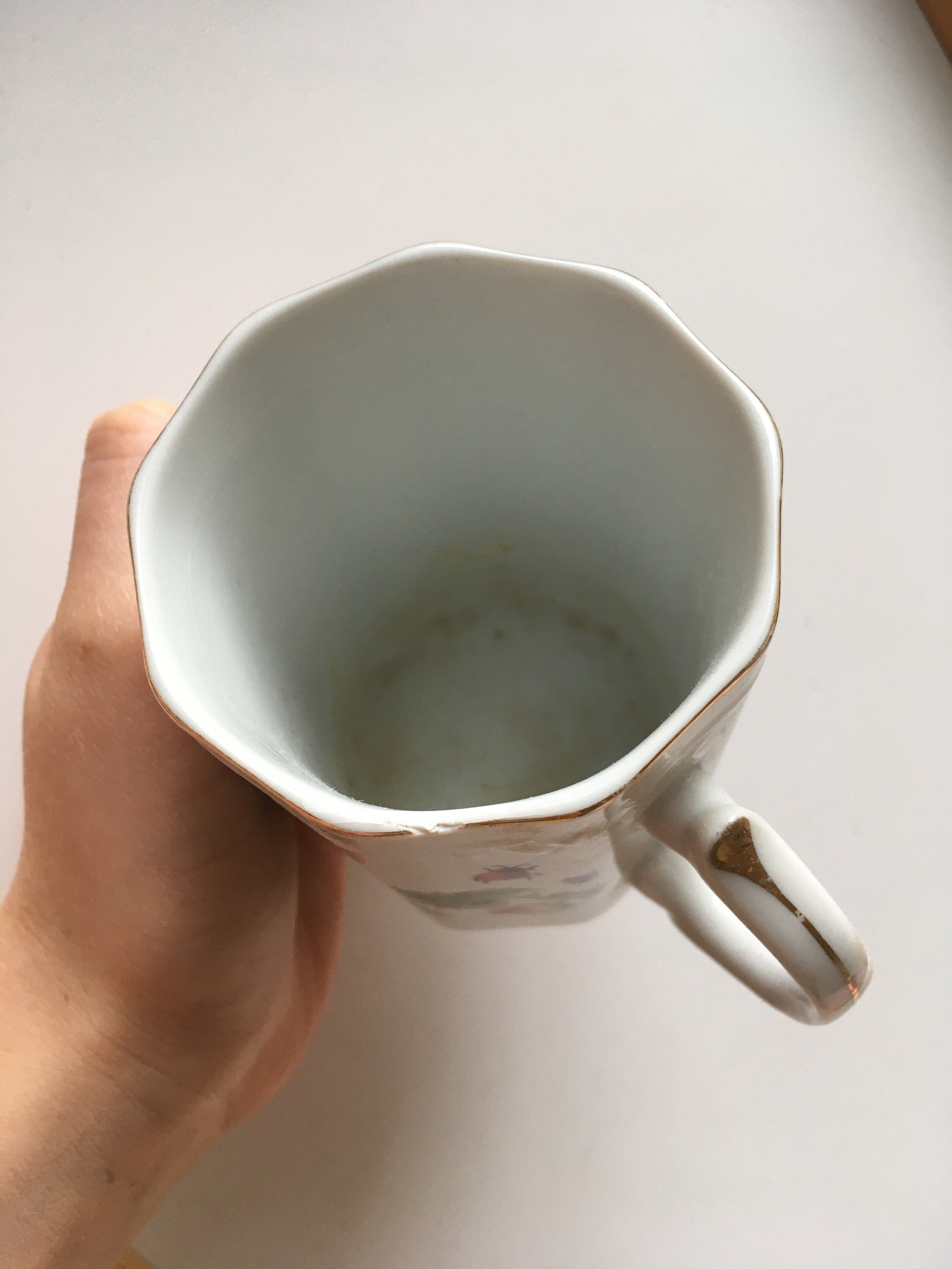 The House of Ardalt Porcelain Butterfly and Strawberry Mug Etsy