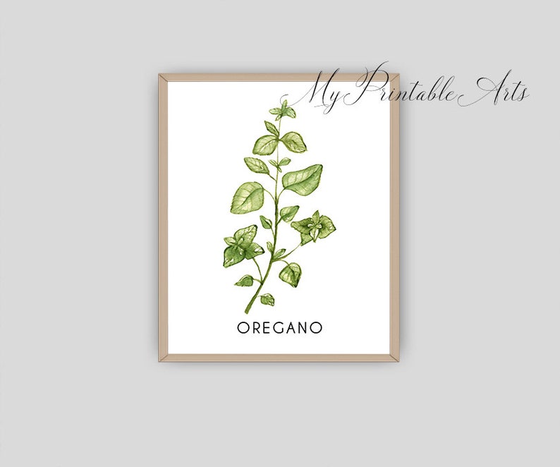 Farmhouse Decor kitchen wall art Botanical print download Herb prints set of 6