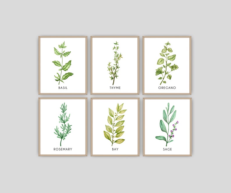 Farmhouse Decor kitchen wall art Botanical print download Herb prints set of 6