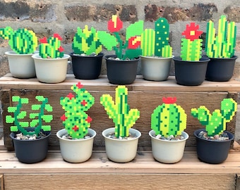 Plant | Succulent | Cactus | Air Plant | Sprout | House Plants | Garden | Perler Bead | Fuse Bead | 8bit | Sprite