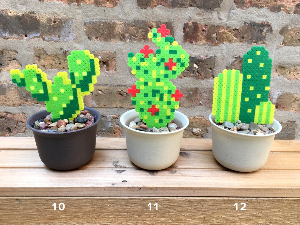Composición de plantas crasas y cactus en base de madera natural — Oh!MyFlor
