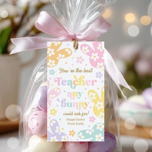 Puede incluir: Una bolsa transparente de celofán atada con una cinta rosa, que contiene huevos de Pascua de colores pastel. Una etiqueta con diseños de conejitos y flores dice "You're the best Teacher any bunny could ask for! Happy Easter From Emily."