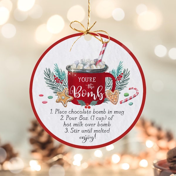 Hot Chocolate Bomb Tag Christmas Hot Chocolate Bomb Tag Winter Hot Chocolate Bomb Tag You're The Bomb Printable Tag Instant Download YC