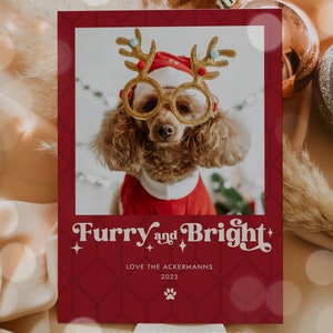 Editable Furry And Bright Funny Dog Holiday Photo Card Pet Dog Holiday Photo Card Dog Christmas Holiday Photo Card Instant Download HH8