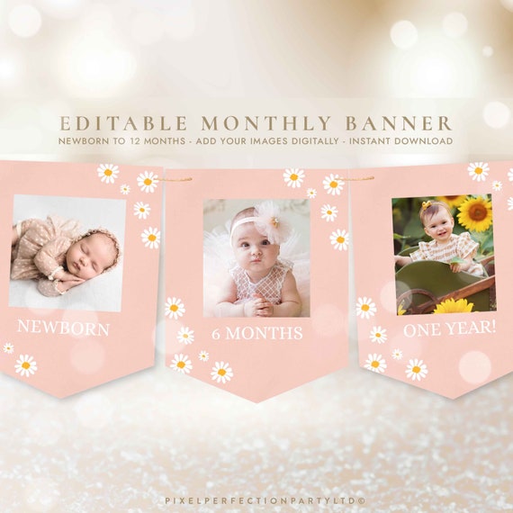 Daisy Birthday Party Monthly Banner Little Miss One-derful Birthday Party Bohemian Daisy Hippy Birthday Party Decor Instant Download BD Il_570xn