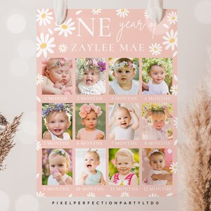Pode incluir: Um cartaz de marcos de beb&ecirc; rosa e branco com um padr&atilde;o de margaridas. O cartaz apresenta 12 fotos de uma menina de 1 m&ecirc;s a 12 meses. O texto "One year of Zaylee Mae" est&aacute; no topo do cartaz.