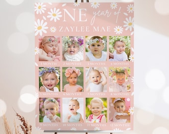 Editable Daisy Baby's First Year Photo Poster Milestone Daisy 1st Year Photo Collage Daisy Party 12 Month Photo Banner Instant Download BD