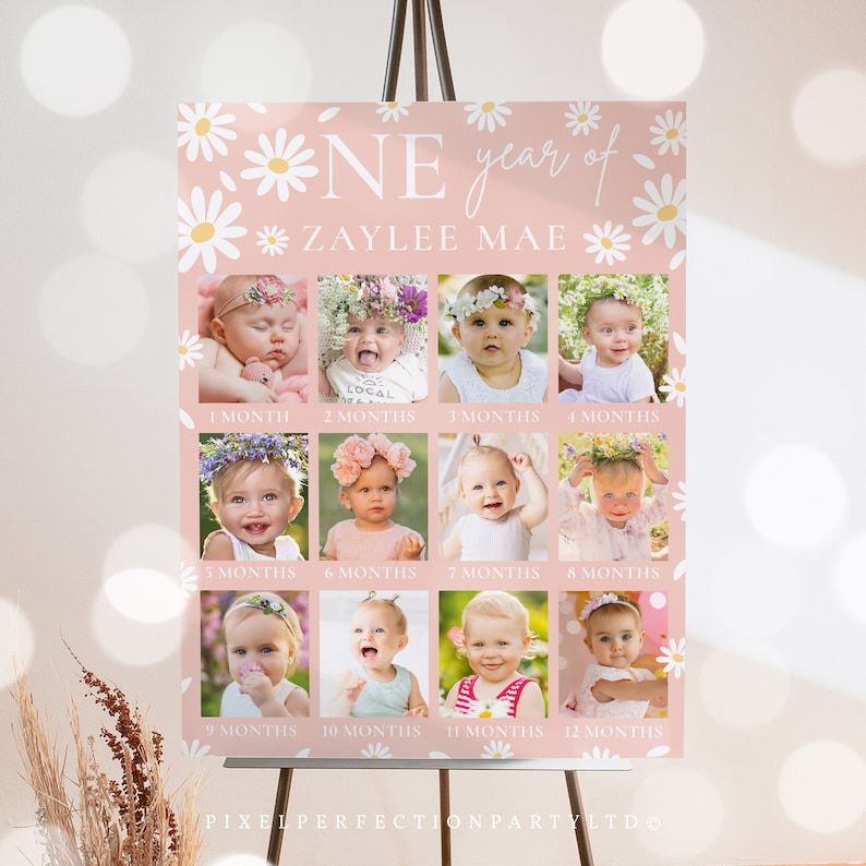 Pode incluir: Um collage de fotos de primeiro anivers&aacute;rio com tema floral rosa e branco com uma menina. O collage inclui 12 fotos da menina em diferentes idades, de 1 m&ecirc;s a 12 meses. O texto "One year of Zaylee Mae" est&aacute; no topo do collage.
