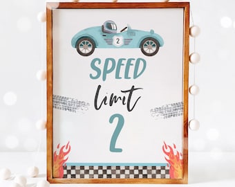 Límite de velocidad carrera coche fiesta signo coche de carreras 2o cumpleaños dos rápido 2 curioso carrera coche fiesta dos cumpleaños rápido decoración descarga instantánea E5