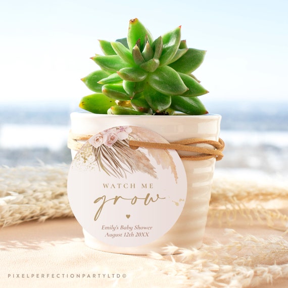 Editable Pampas Grass Watch Me Grow Plant Favor Tag Pampas Grass Succulent Favor Tag Bohemian Baby Shower Desert Shower Favor Tags PG Il_570xn