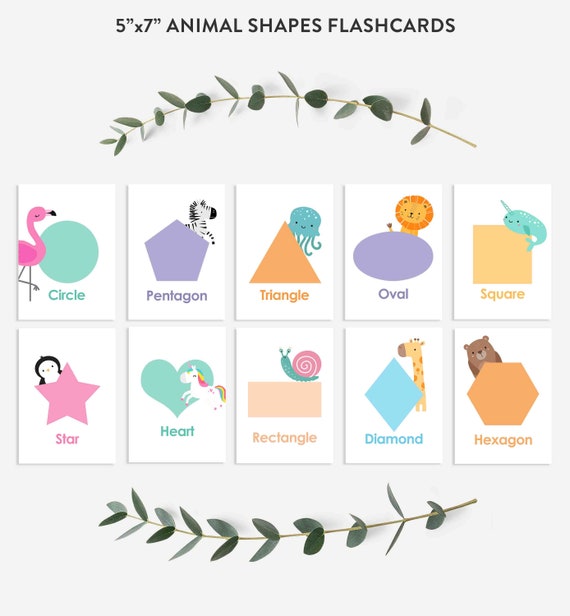 Animal Shape Flash Cards Shape Flash Cards Shape Learning Kindergarten Preschool Activity Homeschool Classroom Activity Instant Download Il_570xn