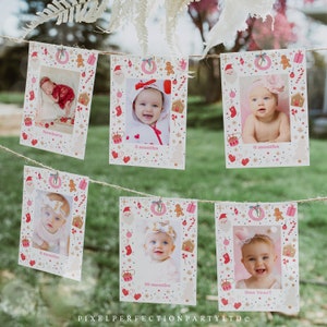 Editable Christmas Birthday Monthly Photo Banner Oh What Fun Christmas Birthday Party Red & Pink Girl Christmas Party Instant Download HHY