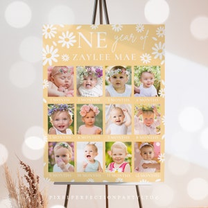Editable Daisy Baby's First Year Photo Poster Milestone Daisy 1st Year Photo Collage Daisy Party 12 Month Photo Banner Instant Download NHT