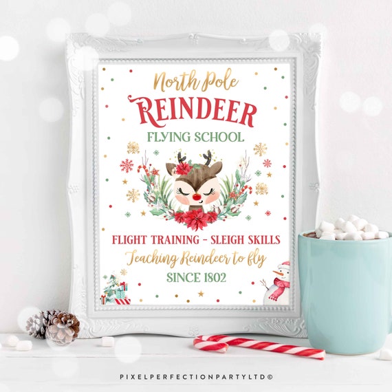 Reindeer Winter ONEderland Birthday Vintage Sign Reindeer Flying School Sign Christmas Reindeer 1st Birthday Party Sign Instant Download RD5 Il_570xn