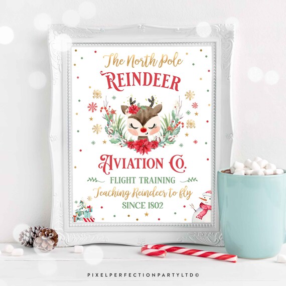 Reindeer Winter ONEderland Birthday Vintage Sign Reindeer Aviation Co. Sign Christmas Reindeer 1st Birthday Party Sign Instant Download RD5 Il_570xn