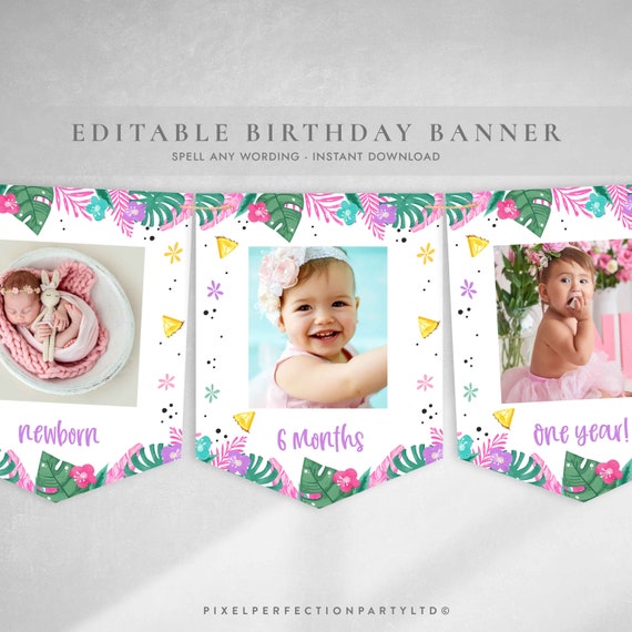 Editable Hawaiian Luau Monthly Birthday Banner Pineapple First Year Banner Hawaiian Pineapple Luau Pool Birthday Party Instant download HL Il_570xn