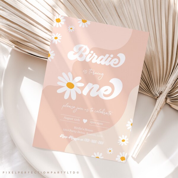 Daisy 1st Birthday Photo Banner - Pink Groovy 1-12 Monthly Pictures For Baby Girl Party Decor