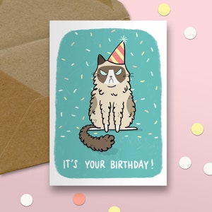 It's Your Birthday, Grumpy Cat Card, Greeting Card image 3