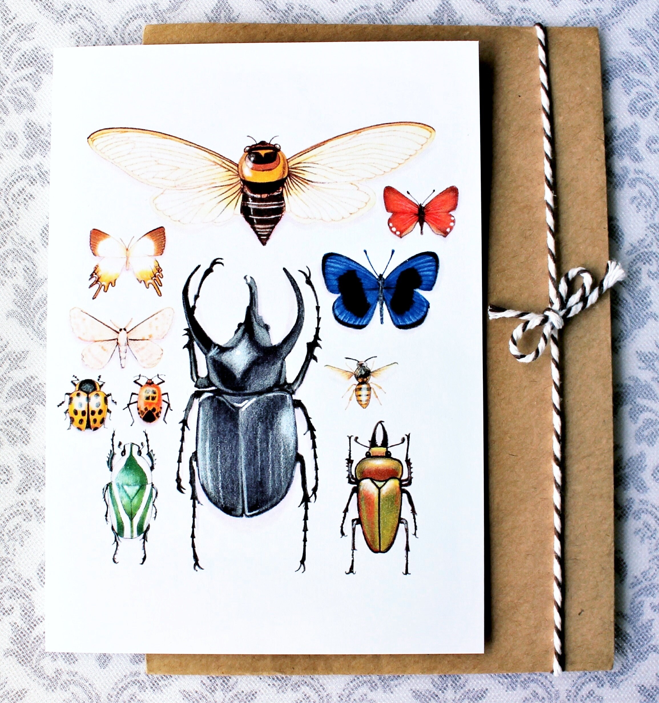 Insect Collection Detail CARD | Etsy