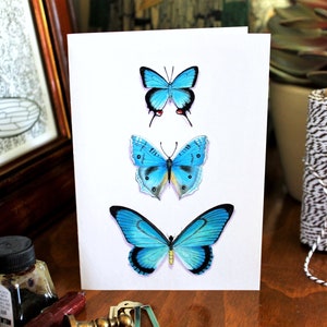3 Teal turquoise butterflies CARD