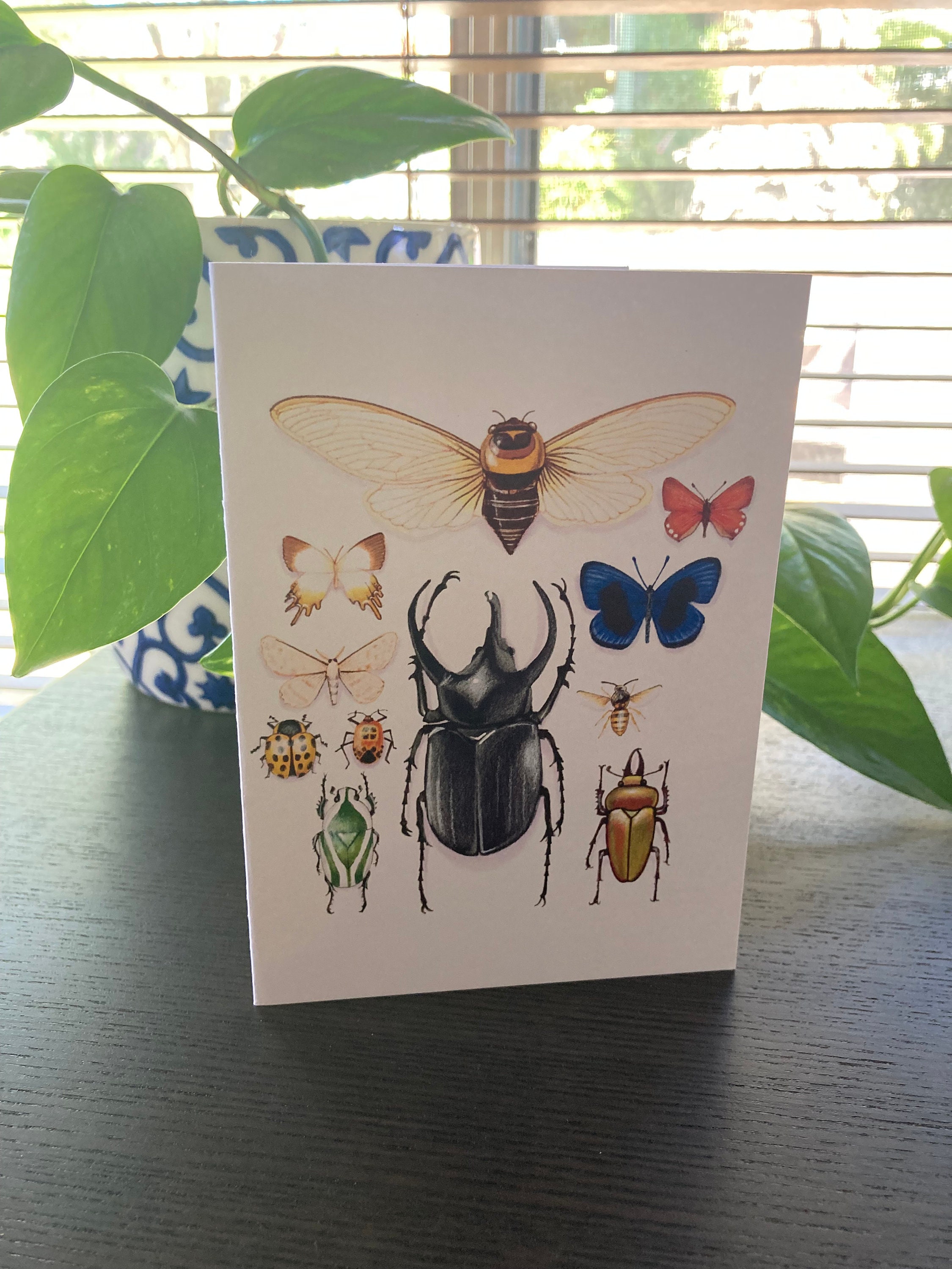 Insect Collection Detail CARD | Etsy